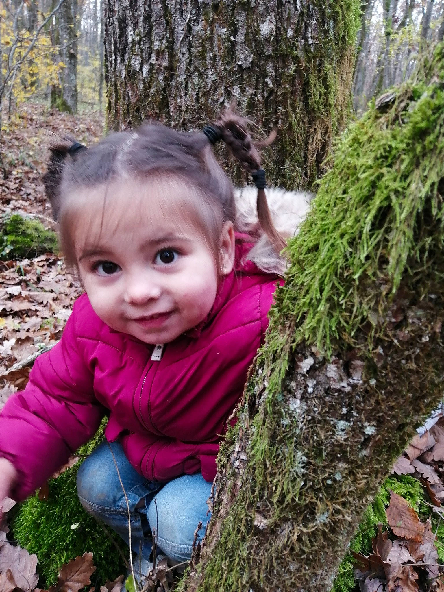 Talya participe au concours pour gagner de l'argent avec cette photo : adaptation, baby_toddler_clothing, botany, branch, child, eye, forest, grass, happy, joy, leaf, natural_landscape, nature, people_in_nature, person, plant, smile, terrestrial_plant, toddler, tree