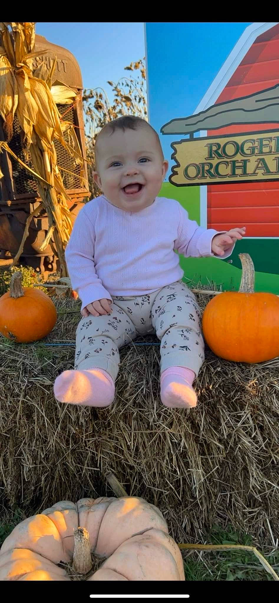 Maddie joined the competition — help win amazing prizes! baby_toddler_clothing, ball, calabaza, child, cucurbita, eye, fun, gourd, grass, happy, joy, orange, people_in_nature, person, plant, pumpkin, sky, smile, summer, toddler