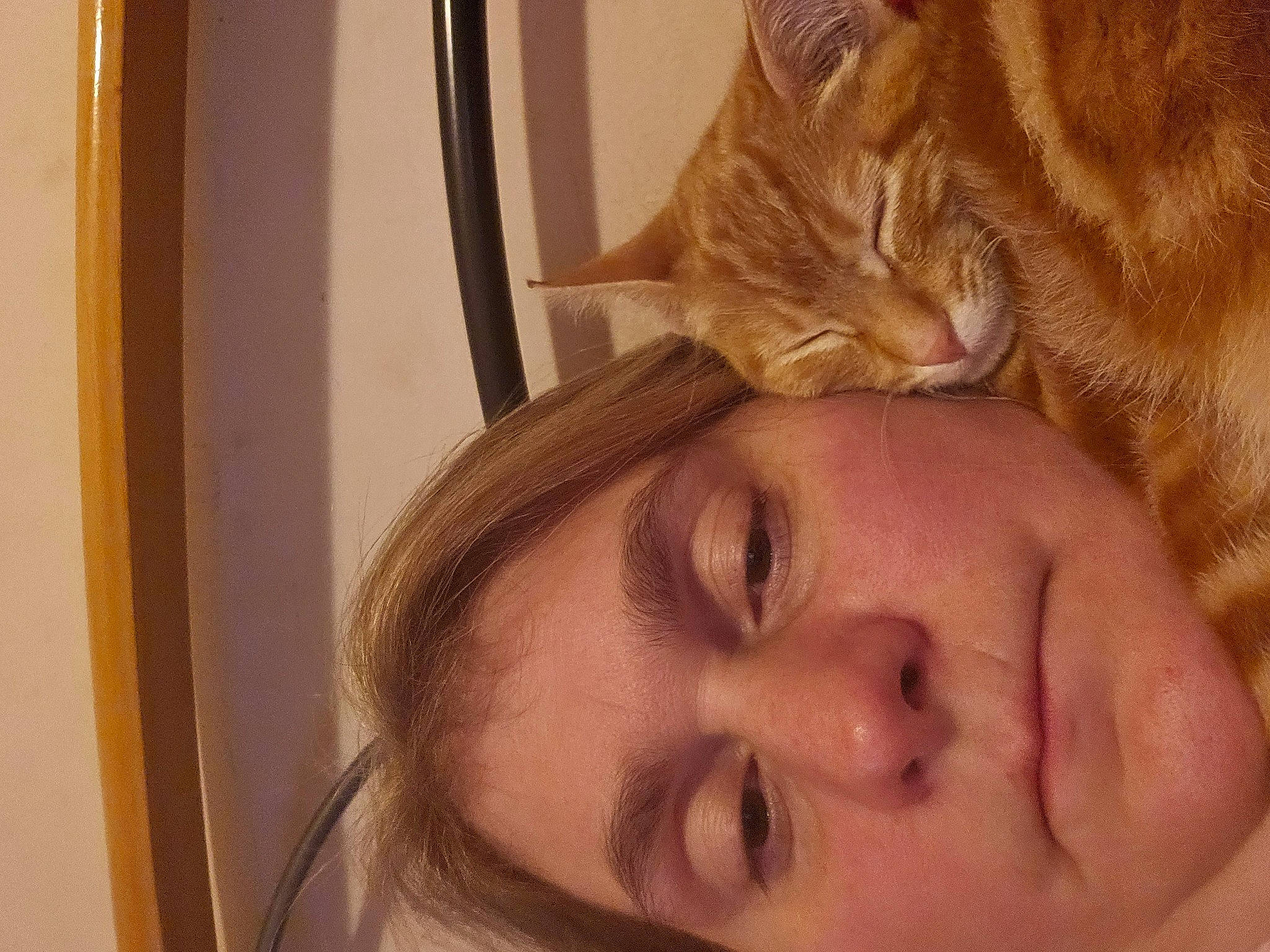 Simba participe au concours pour gagner de l'argent avec cette photo : cat, cheek, close_up, comfort, ear, eyebrow, eyelash, felidae, happy, jaw, lip, mouth, neck, nose, selfie, skin, throat, whiskers, wood, wrinkle