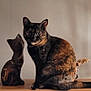 cat, tortoiseshell_cat, wooden_shelf, wooden_cat_figure, decor, indoor, furniture, animal, pet, still_life, sculpture, figurine, calm, sitting, brown, black, natural_light, wall, quiet, household