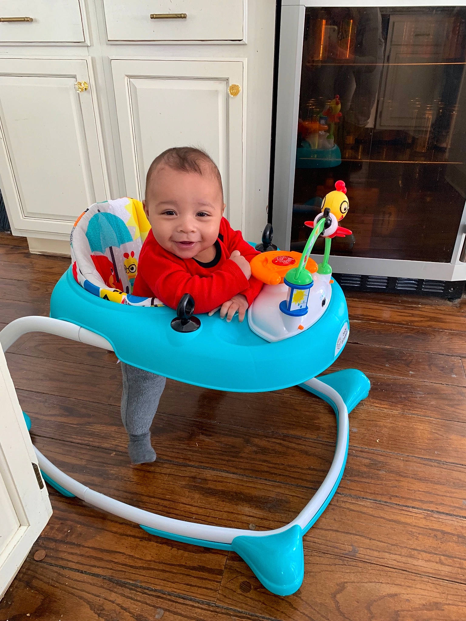 Dash joined the competition — help win amazing prizes! baby, chair, child, furniture, person, play, sitting, toddler