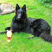 Jason a rejoint le concours — aidez-le/la à gagner de superbes lots !