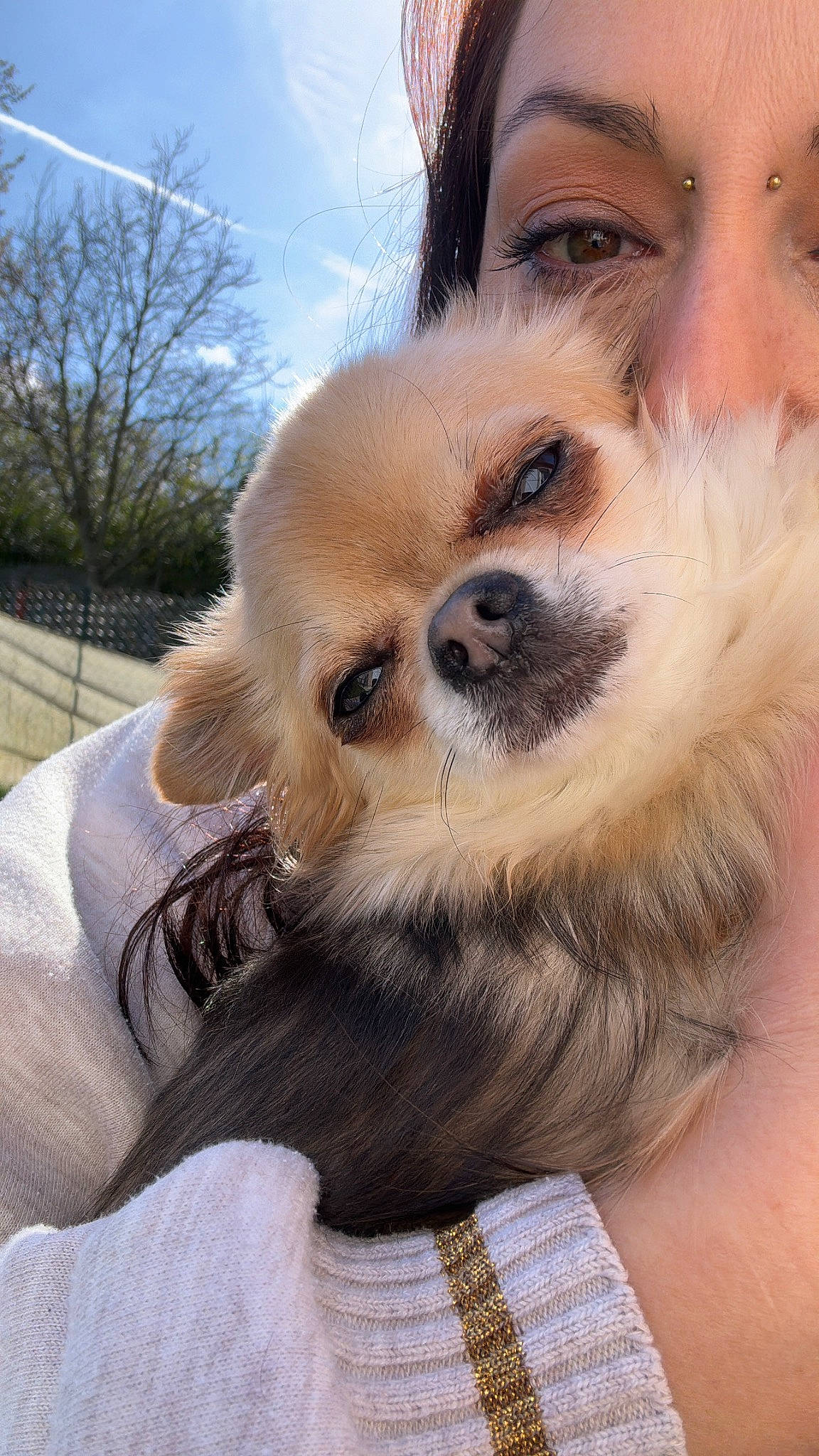 Chipie participe au concours pour gagner de l'argent avec cette photo : canidae, carnivore, cloud, companion_dog, dog, dog_breed, eyelash, fawn, fur, german_spitz, german_spitz_mittel, sky, snout, sporting_group, tartan, toy_dog, tree, volpino_italiano, whiskers, wildlife