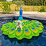 dog, white_dog, inflatable, peacock_float, pool, water, summer, float, trees, fence, deck, grass_field, garden, happy, tongue_out, pet, outdoors, sunny, sitting, cute