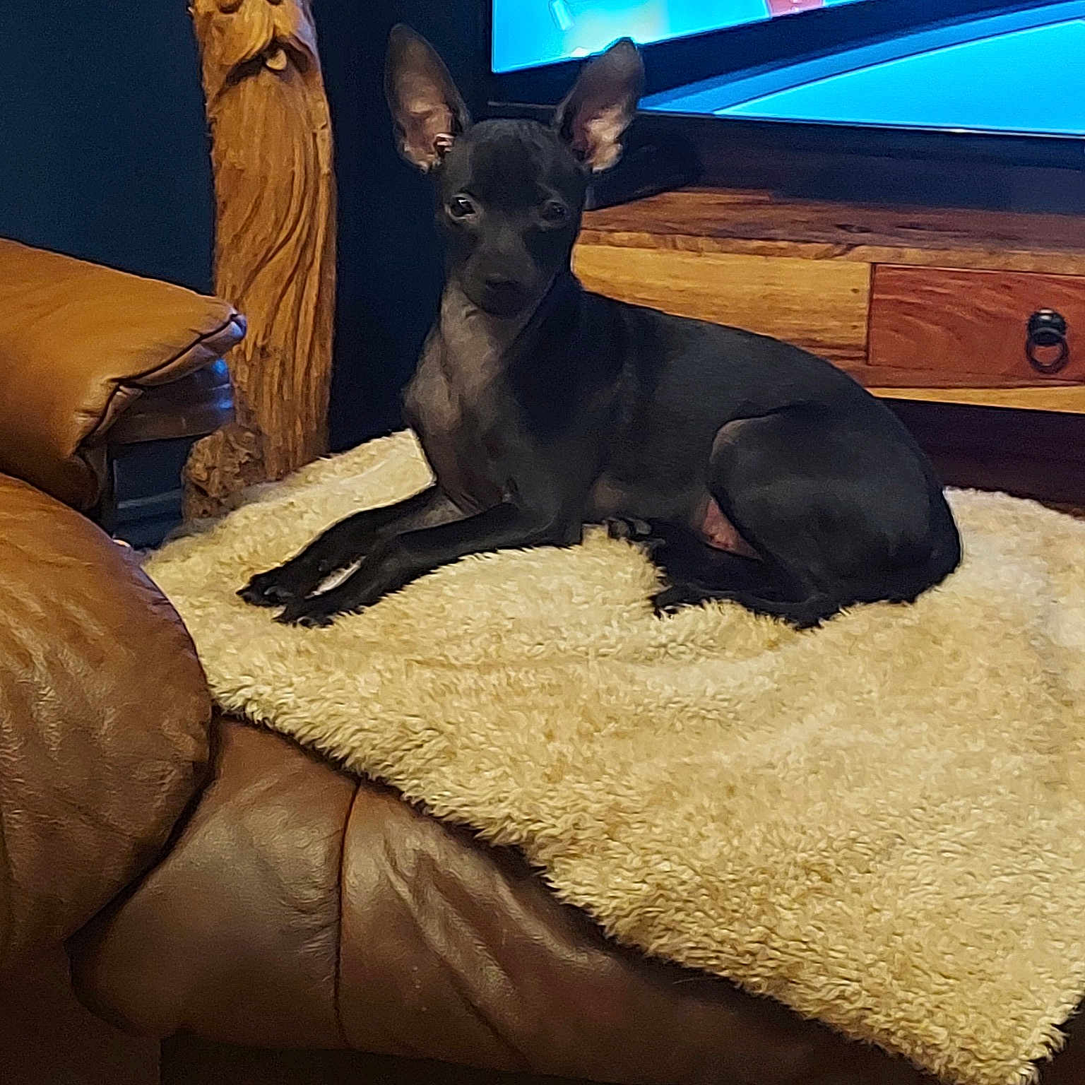 Mya