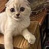 Beatrice is registered to the contest to win money with this photo: