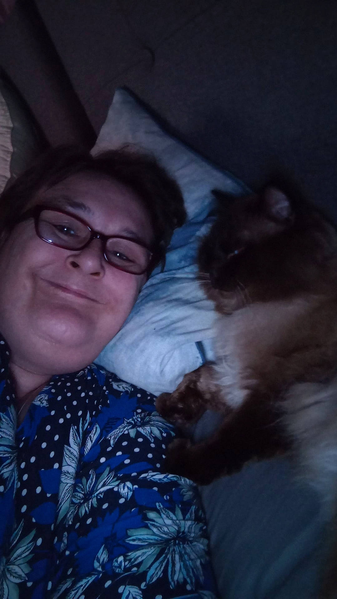 Harry Potter is registered to the contest to win money with this photo: black_hair, carnivore, cat, comfort, ear, eye, eyewear, fawn, felidae, flash_photography, glasses, happy, head, iris, mammal, mouth, organ, smile, vertebrate, vision_care