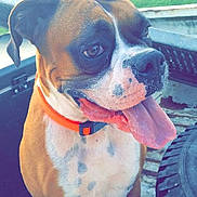 Izzabelle joined the competition — help win amazing prizes!