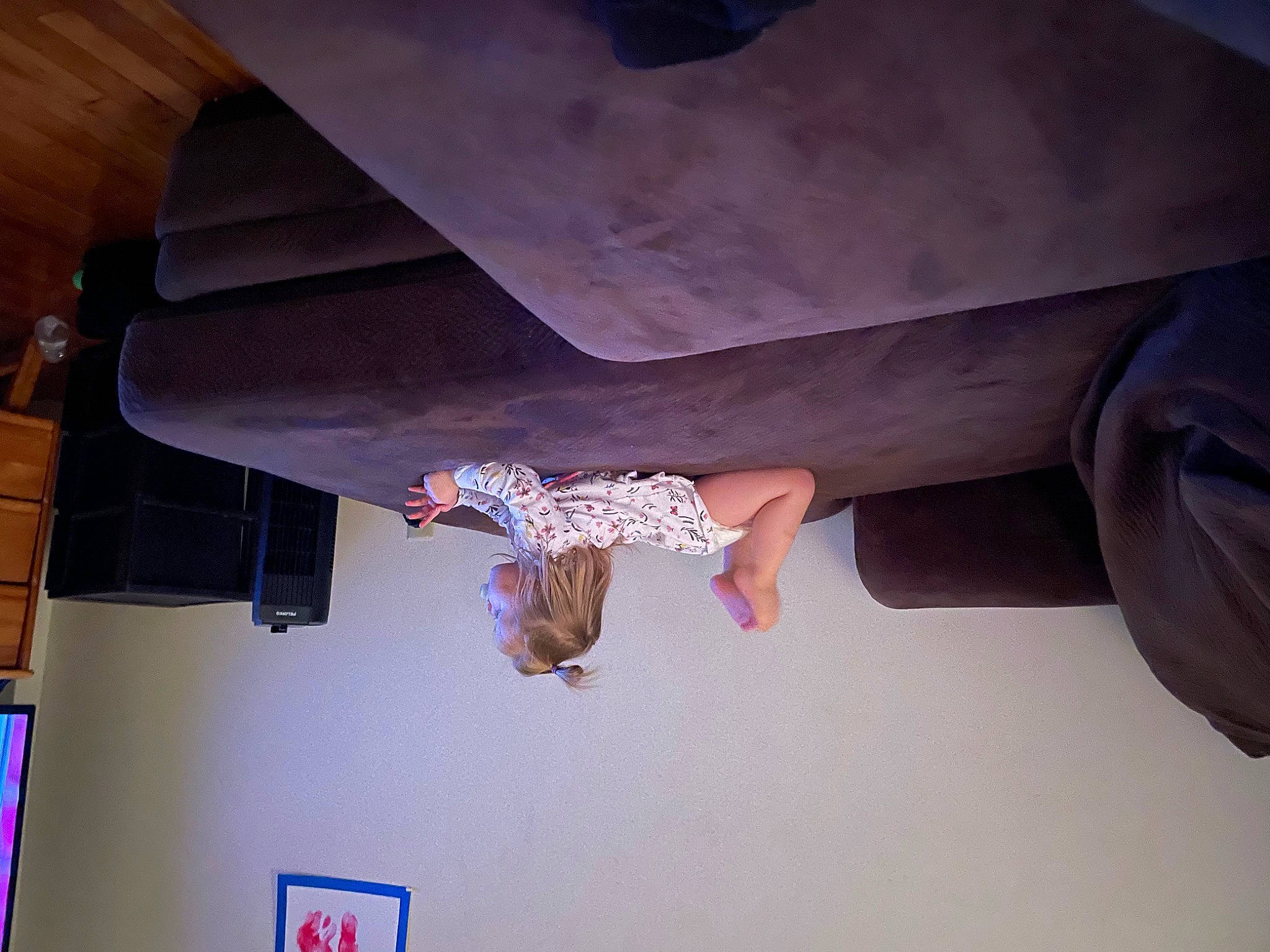 Laylah joined the competition — help win amazing prizes! adventure, ceiling, climbing, concrete, elbow, floor, flooring, fun, hardwood, leisure, person, plaster, recreation, rock, room, shadow, space, sport_climbing, tints_and_shades, visual_arts