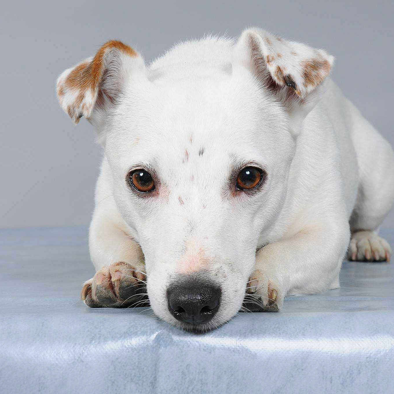 Elia participe au concours pour gagner de l'argent avec cette photo :