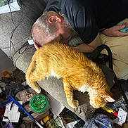 Smiley is registered to the contest to win money with this photo: cat, orange_cat, sleeping_person, beard, chair, couch, indoor, home, clutter, messy_room, cables, electronics, papers, plastic_bags, blanket, black_shirt, pet, resting, funny_scene, photograph