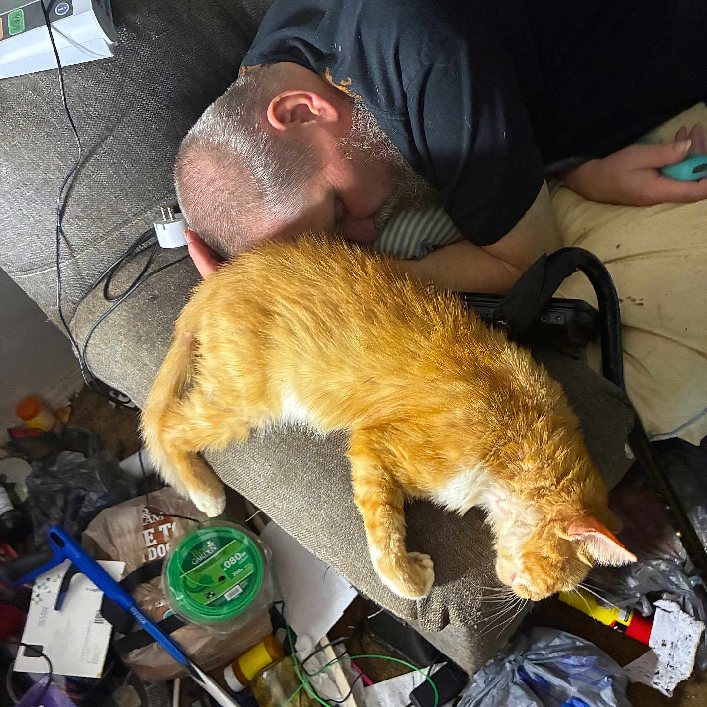 Smiley is registered to the contest to win money with this photo: cat, orange_cat, sleeping_person, beard, chair, couch, indoor, home, clutter, messy_room, cables, electronics, papers, plastic_bags, blanket, black_shirt, pet, resting, funny_scene, photograph