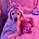 Teddy