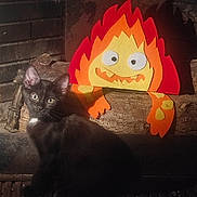 Lucie participe au concours pour gagner de l'argent avec cette photo : cat, kitten, fireplace, felt, flame, toy, wood, brick_wall, black_cat, indoor, pet, animal, curious, cozy, warm_light, decor, cute, sitting, whimsical, face