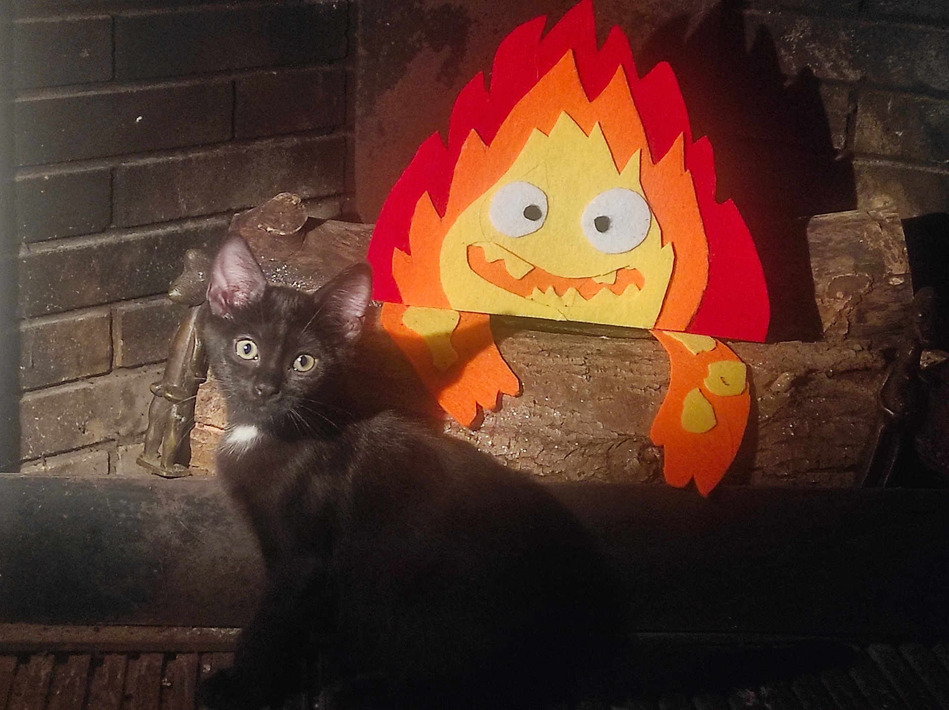 Lucie participe au concours pour gagner de l'argent avec cette photo : cat, kitten, fireplace, felt, flame, toy, wood, brick_wall, black_cat, indoor, pet, animal, curious, cozy, warm_light, decor, cute, sitting, whimsical, face