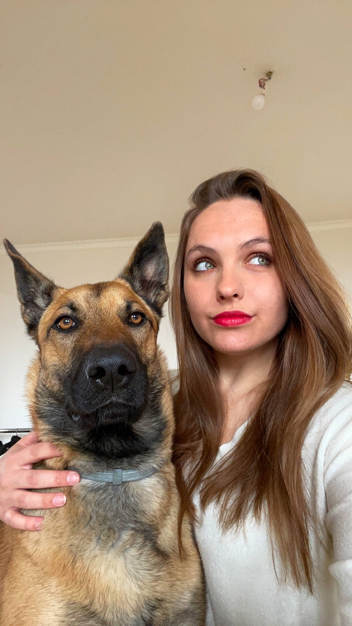 Taya a rejoint le concours — aidez-le/la à gagner de superbes lots ! canidae, carnivore, companion_dog, dog, dog_breed, eyelash, fashion_design, fawn, flash_photography, fur, german_shepherd_dog, happy, herding_dog, jaw, lipstick, makeover, nose, organ, snout, sporting_group