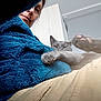 person, cat, indoor, blue_robe, gray_cat, paw, relaxed, cozy, furniture, light, home, casual, portrait, closeup, sleepy, stretching, feline, pet, comfort, candid