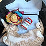 kitten, sleeping, cat, plush_toy, sombrero, soft_lining, pet_carrier, ginger_cat, indoor, cute, nap, toy, colorful, resting, feline, small_hat, domestic_cat, cozy, relaxed, animal