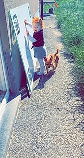 Léana participe au concours pour gagner de l'argent avec cette photo : asphalt, blurred, carnivore, companion_dog, dog, dog_breed, driveway, flooring, fun, grass, leisure, mammal, person, plant, road, road_surface, shadow, sidewalk, soil, sporting_group