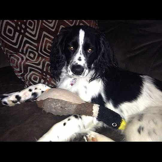 Dakota is registered to the contest to win money with this photo:
