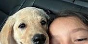 Duke is registered to the contest to win money with this photo: dog, puppy, smiling, tongue_out, girl, child, car_interior, backseat, leather_seat, window, happy, closeup, pet, friendship, tongue, face, portrait, young, cute, joy