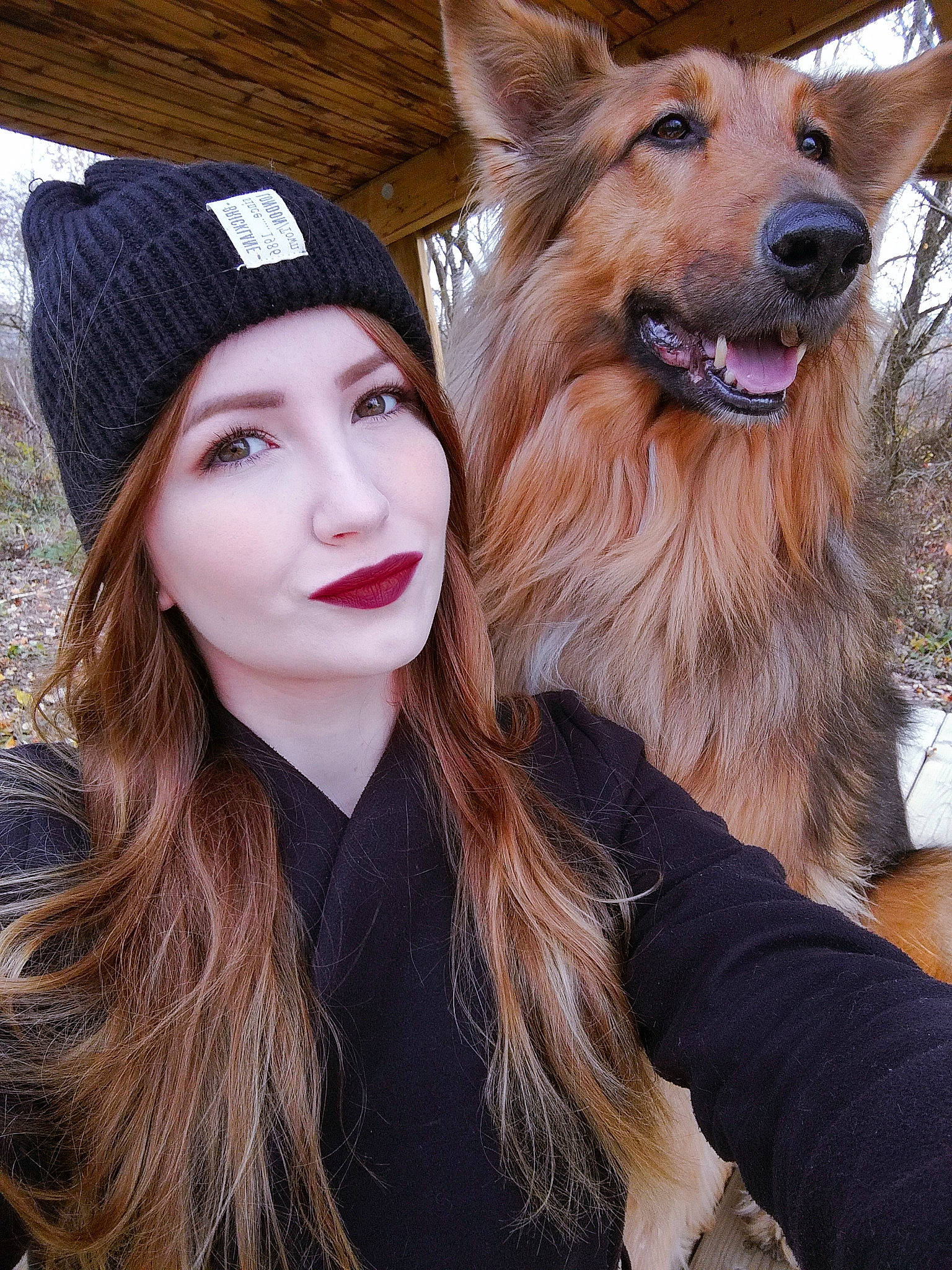 Nalou a rejoint le concours — aidez-le/la à gagner de superbes lots ! dog, dog_breed, dog_breed_group, dog_like_mammal, fur, girl, headgear, headwear, long_hair, person, snout