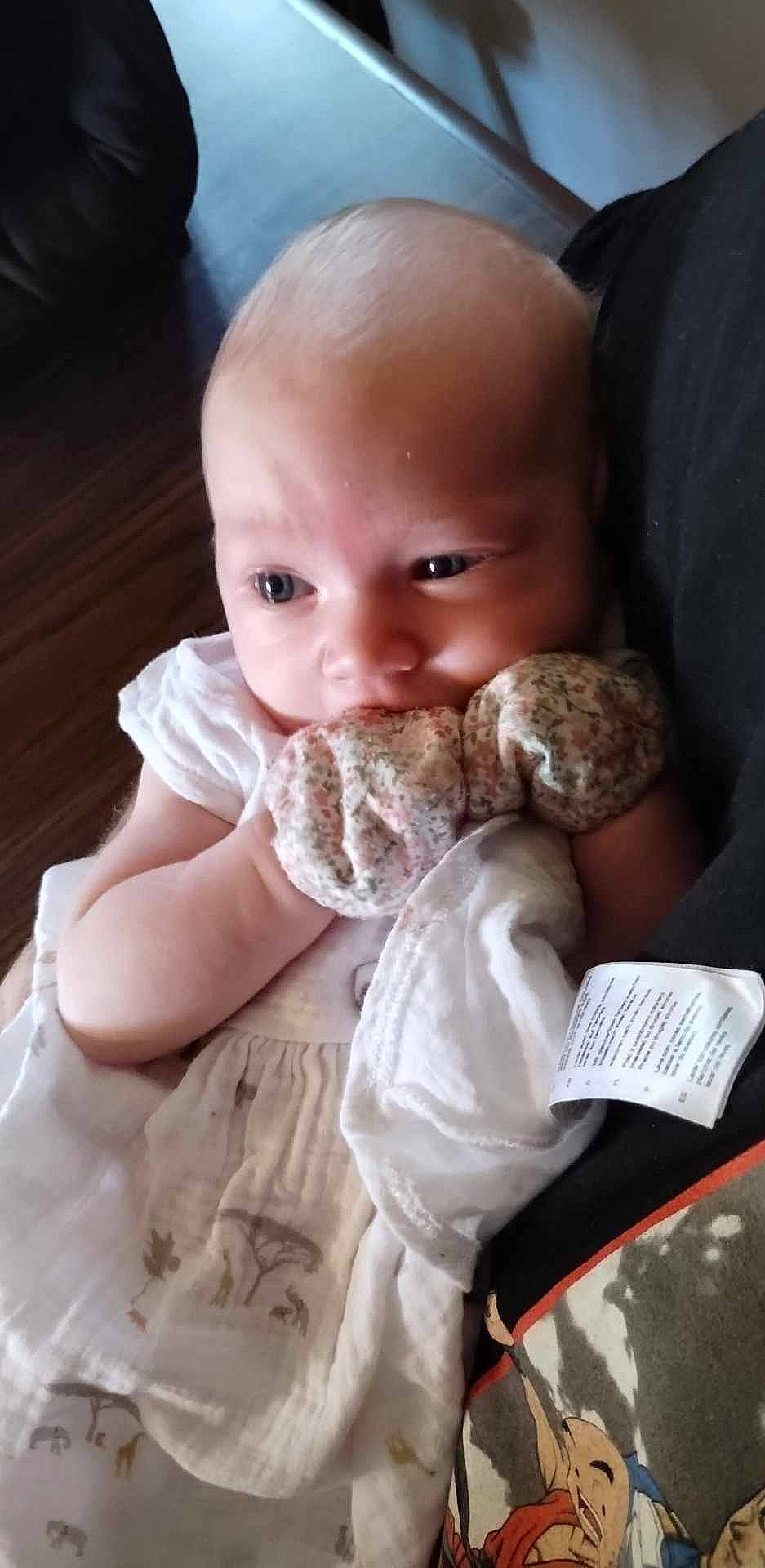 Paizlee joined the competition — help win amazing prizes! baby, baby_toddler_clothing, baked_goods, child, comfort_food, cuisine, dish, eating, finger, food, food_craving, ingredient, jaw, pastry, person, plate, sitting, staple_food, sweetness, tableware