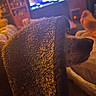 Rosie is registered to the contest to win money with this photo: animal, blanket, blurred_background, couch, cozy, dog, foot, furniture, human, indoor, living_room, nose, paw, peeking, relaxation, shadow, soft_texture, television, textured_blanket, warm_lighting