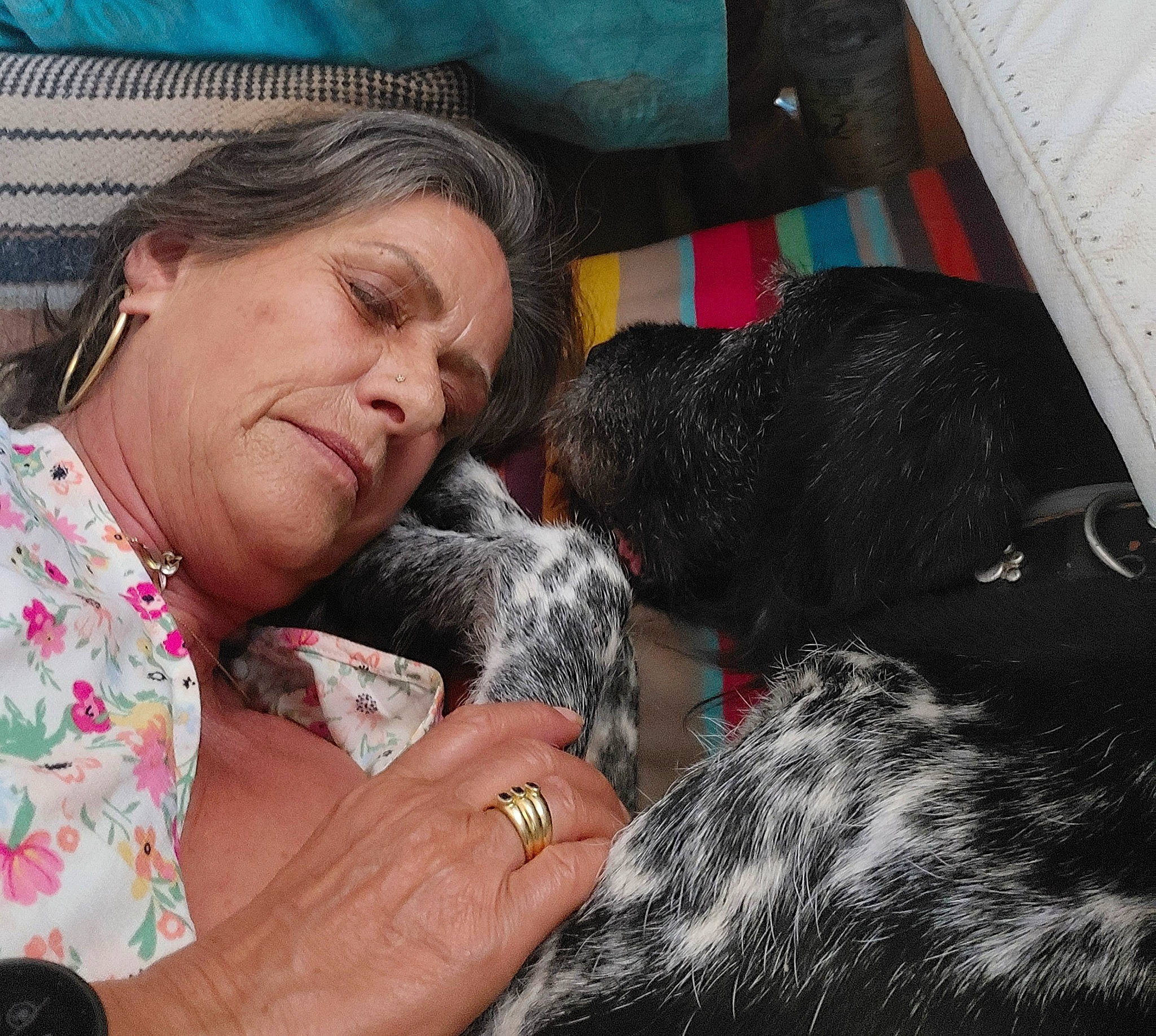 Alcide participe au concours pour gagner de l'argent avec cette photo : canidae, carnivore, comfort, companion_dog, dog, dog_breed, ear, fawn, fur, happy, jewellery, linens, nail, nap, puppy_love, sitting, snout, sporting_group, wool, working_animal