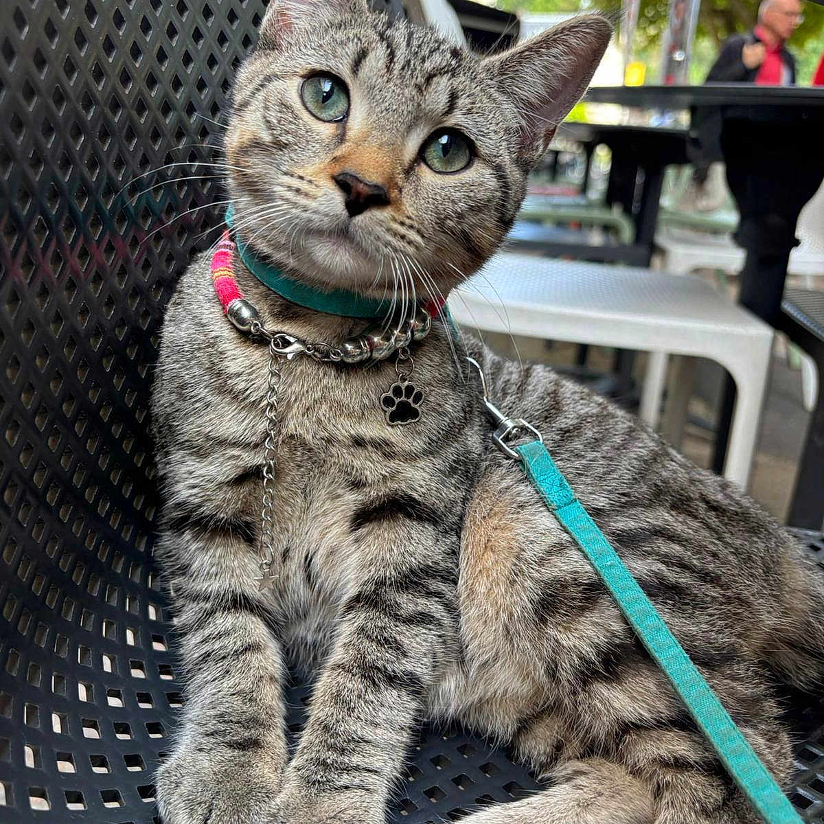 Nala