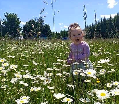 Elayna is registered to the contest to win money with this photo: biome, botany, camomile, cloud, dandelion, flower, grass, grassland, happy, meadow, natural_landscape, people_in_nature, person, petal, plant, sky, smile, sunlight, toddler, tree