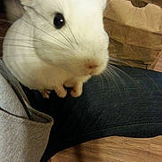Desi is registered to the contest to win money with this photo: