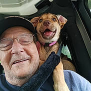Emma joined the competition — help win amazing prizes! cap, casual_clothing, closeup, companion, dog, ears, friendship, fur, glasses, happy, man, paw, pet, puppy, seat, seatbelt, smiling, tongue, vehicle_interior, window