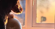 Rocket participe au concours pour gagner de l'argent avec cette photo : dog, silhouette, chair, window, sunset, indoor, pet, fur, light, shadow, contemplative, calm, animal, domestic, side_view, warm_light, relaxing, quiet, home, looking_out