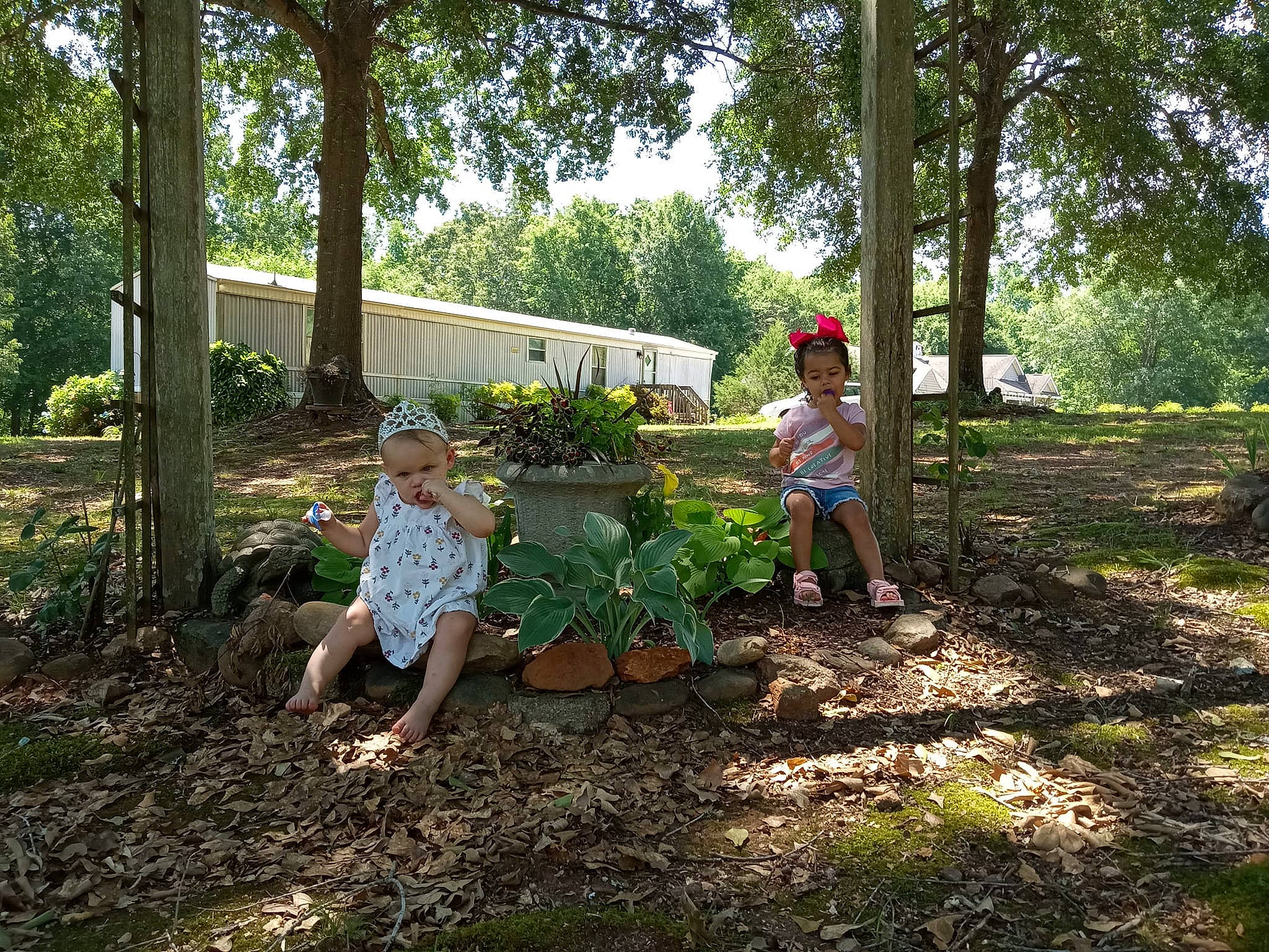 Ka'Mya is registered to the contest to win money with this photo: child, flower, forest, fun, grass, groundcover, landscape, lawn, leisure, natural_landscape, people_in_nature, person, plant, plant_community, recreation, rural_area, shrub, sky, terrestrial_plant, toddler