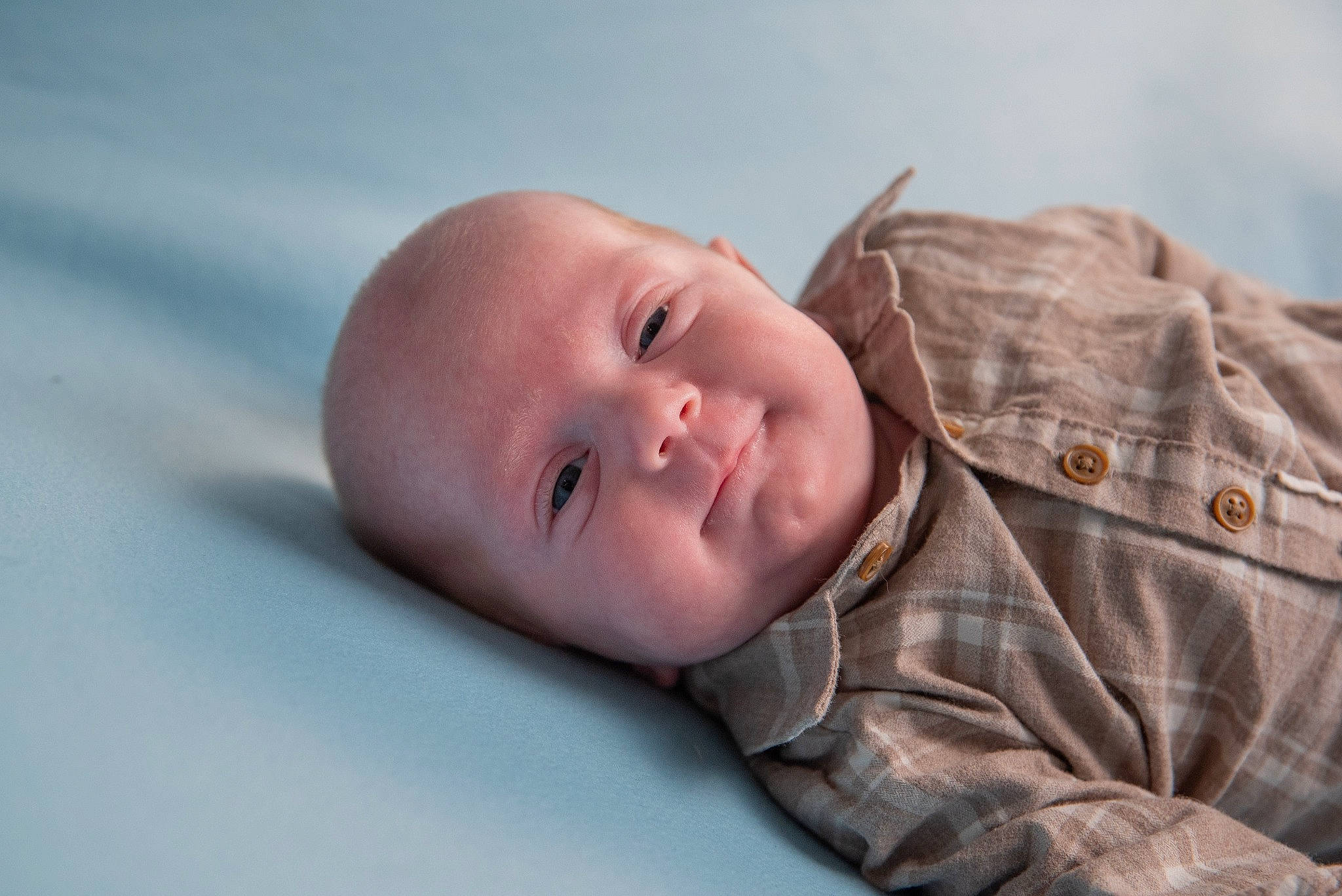 Thybault participe au concours pour gagner de l'argent avec cette photo : baby, baby_toddler_clothing, cheek, child, comfort, eye, face, flash_photography, grass, happy, head, linens, nose, pattern, person, sitting, skin, sleeve, smile, toddler