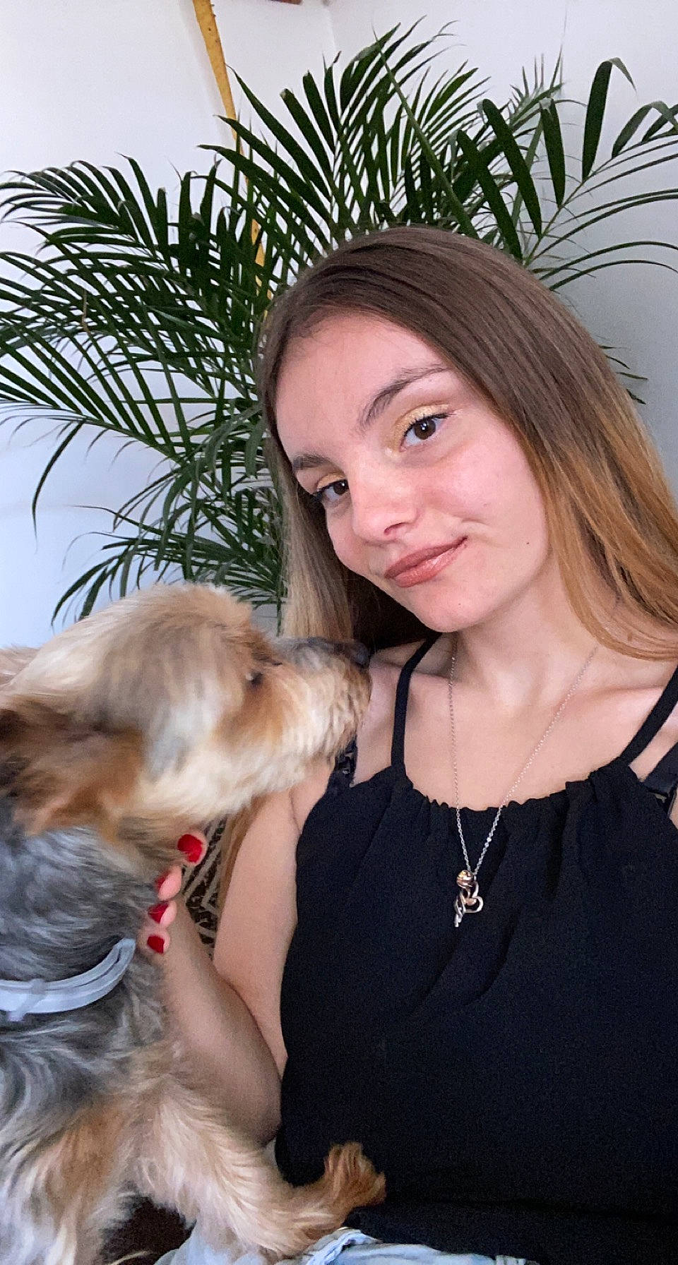 Mistral participe au concours pour gagner de l'argent avec cette photo : beauty, blond, brown_hair, carnivore, collar, companion_dog, dog, dog_breed, ear, facial_expression, fawn, flash_photography, hairstyle, happy, jewellery, long_hair, shoulder, skin, smile, whiskers