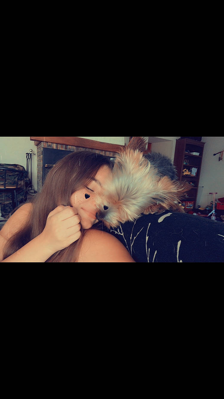 Mistral a rejoint le concours — aidez-le/la à gagner de superbes lots ! child, cloud, cool, darkness, display_device, eyelash, flash_photography, flesh, fun, gesture, happy, love, night, petal, photo_caption, room, sky, square, toddler, wing