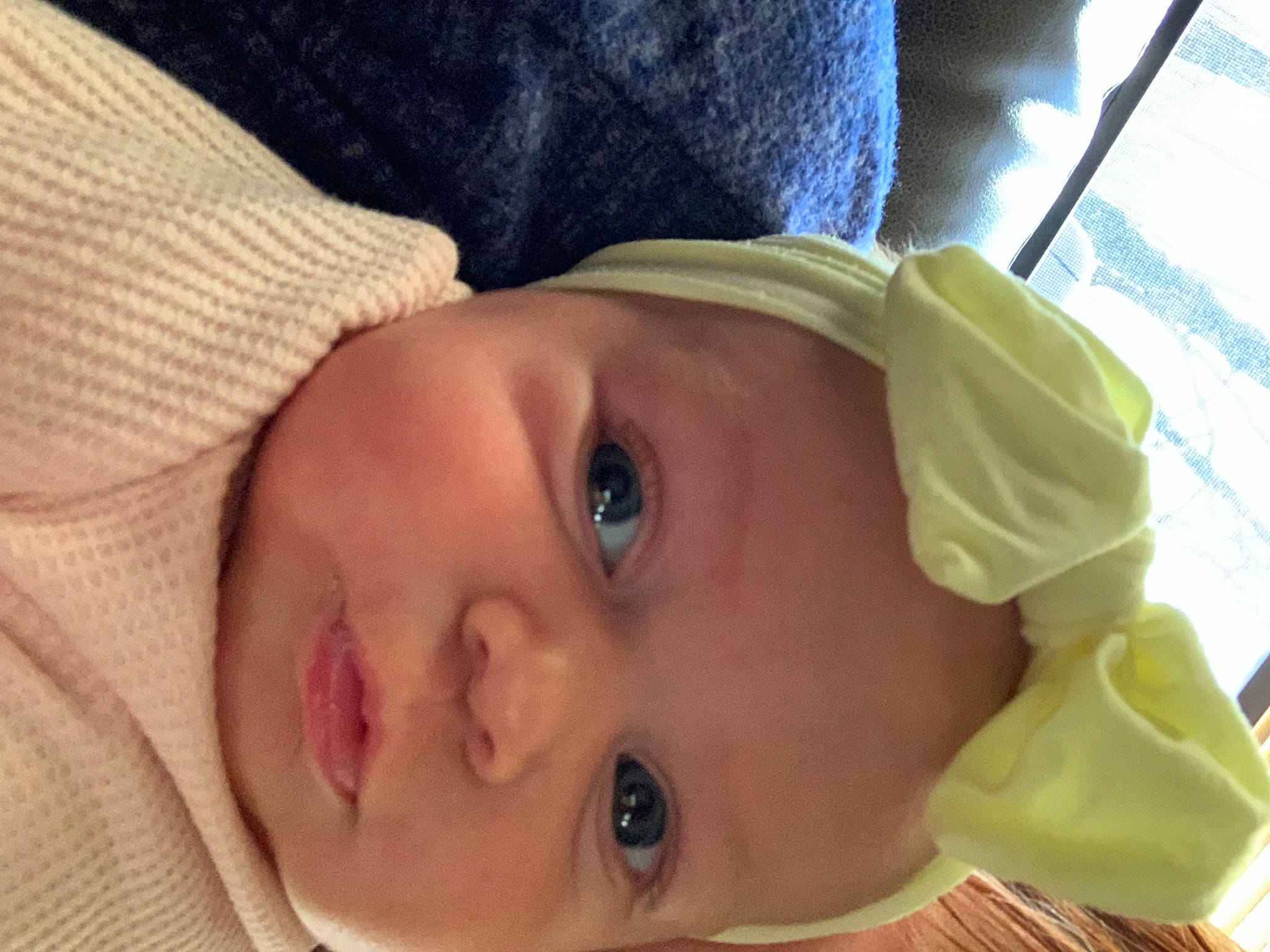 Avalynn is registered to the contest to win money with this photo: baby, baby_toddler_clothing, cheek, chin, ear, eyebrow, eyelash, forehead, hat, headgear, iris, lip, mouth, nose, person, plant, skin, smile, toddler, tree