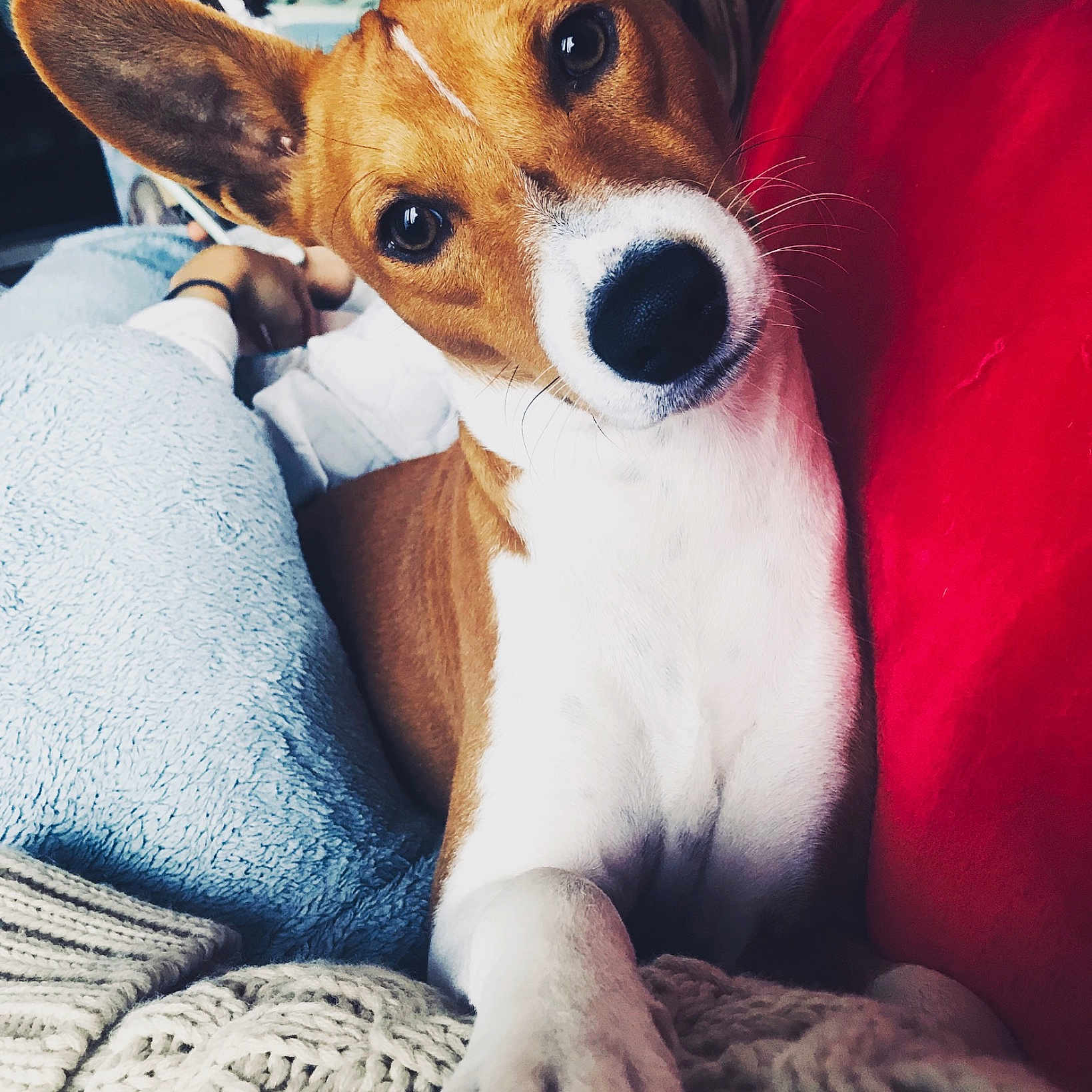 Django
