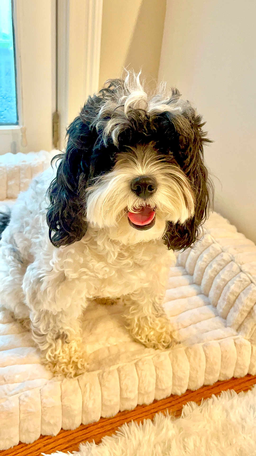 Coco