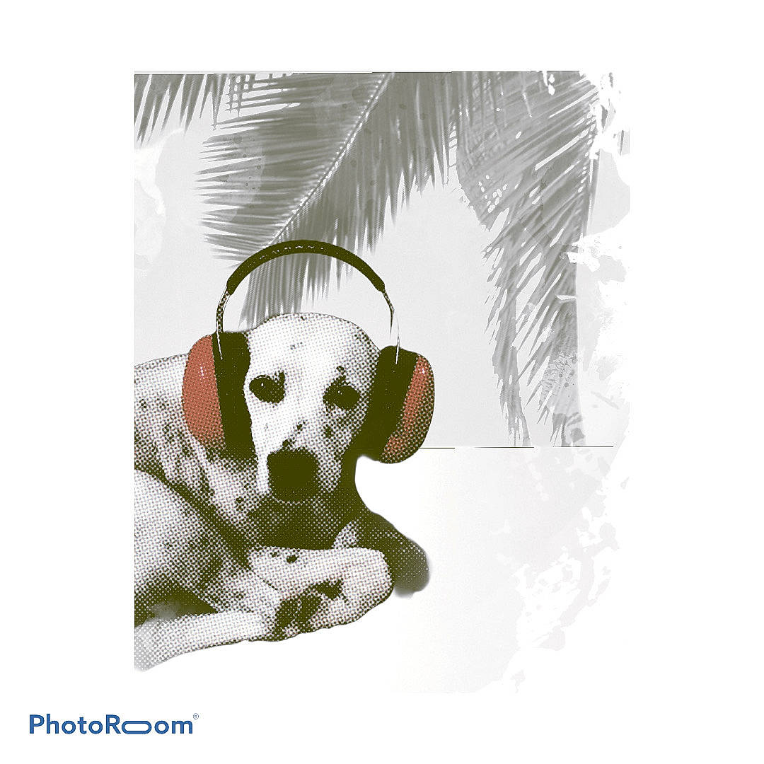 Idylle a rejoint le concours — aidez-le/la à gagner de superbes lots ! art, bone, drawing, font, graphic_design, head, headgear, illustration, koala, personal_protective_equipment