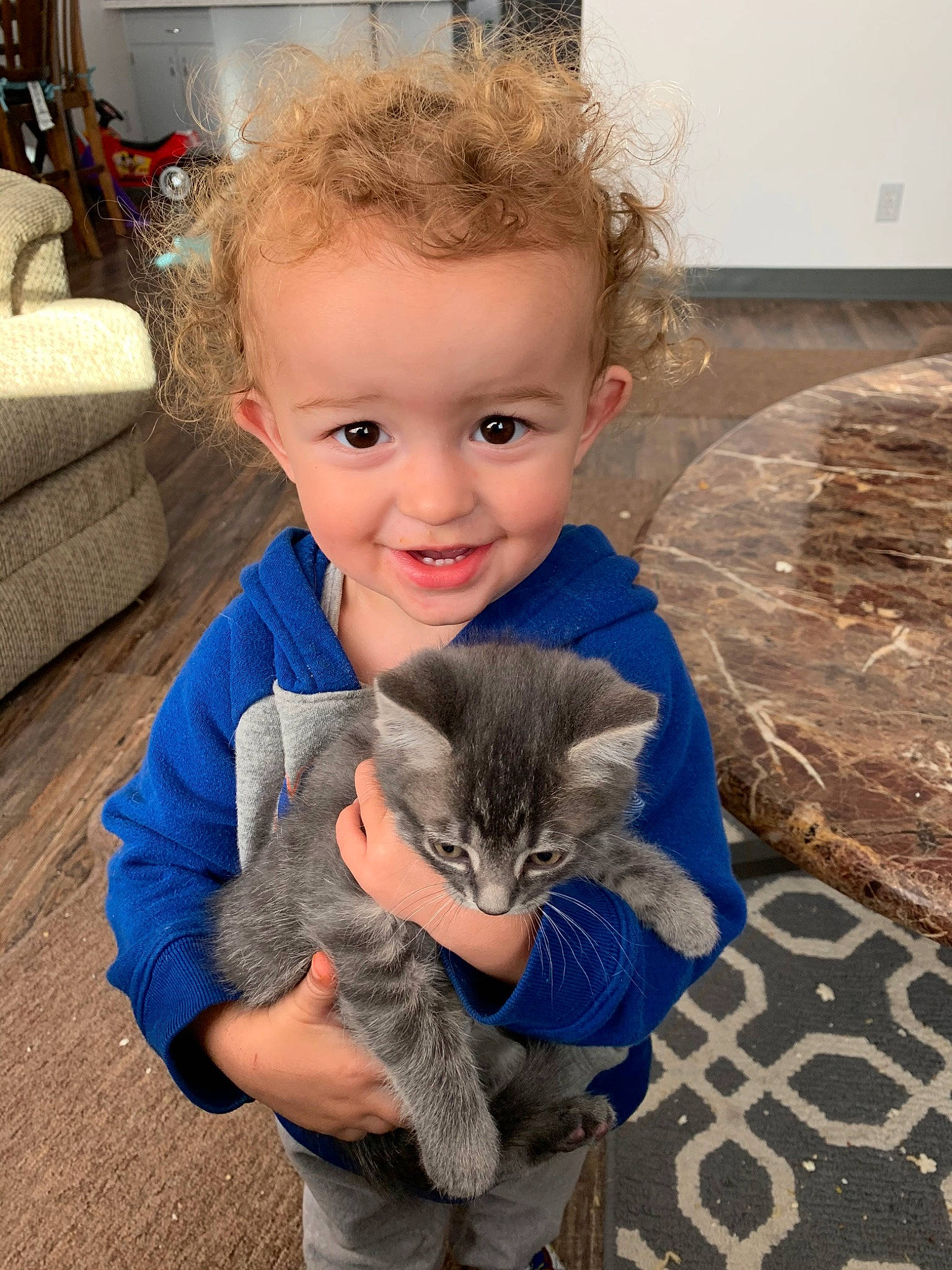 Zayne is registered to the contest to win money with this photo: asian, carnivore, cat, cheek, child, domestic_short_haired_cat, european_shorthair, eye, felidae, fur, iris, joy, kitten, nebelung, nose, person, pixie_bob, play, skin, small_to_medium_sized_cats