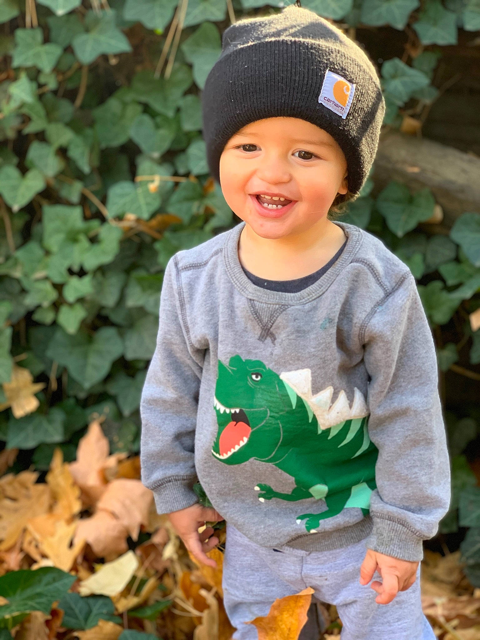 Zayne joined the competition — help win amazing prizes! adaptation, autumn, baby, beanie, bonnet, cap, child, clothing, cool, headgear, headwear, joy, knit_cap, leaf, male, outerwear, person, plant, smile, sweater