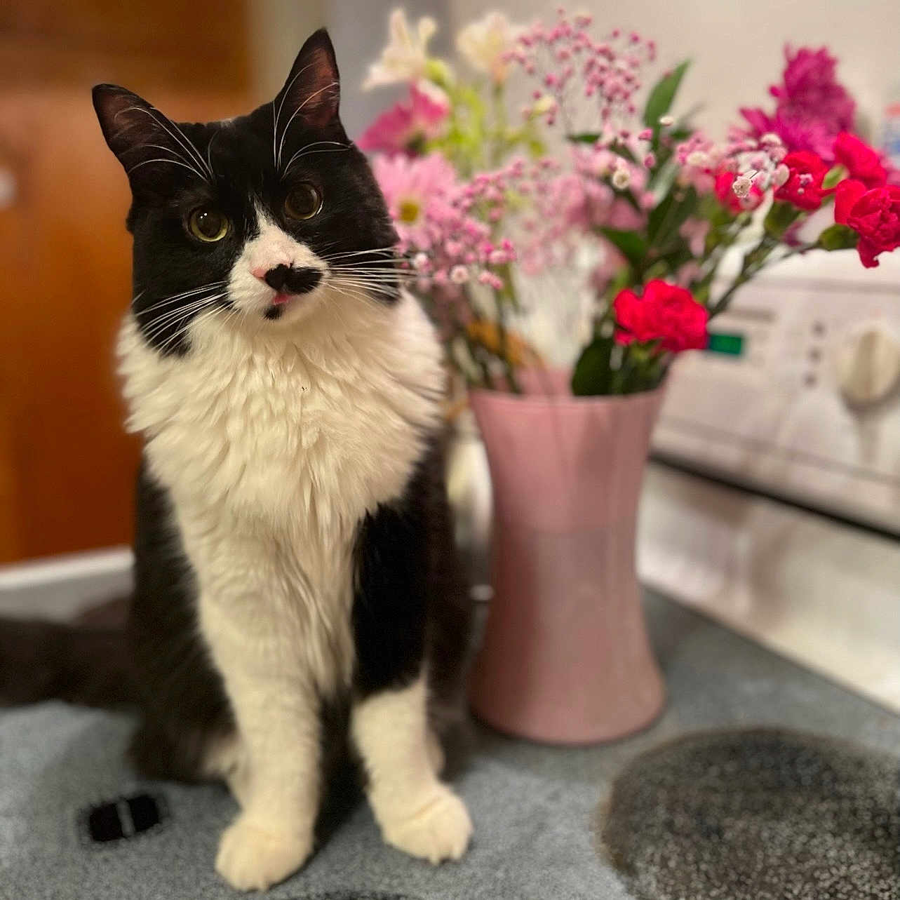 Lola