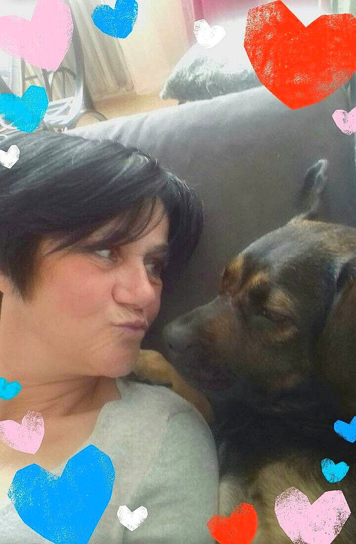 Lixi participe au concours pour gagner de l'argent avec cette photo : carnivoran, dog, dog_breed, dog_breed_group, dog_like_mammal, ear, fun, girl, mammal, person, puppy, puppy_love, snout, vertebrate