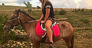 Coquine participe au concours pour gagner de l'argent avec cette photo : animal_sports, beauty, bridle, cool, equestrianism, halter, horse, horse_supplies, horse_tack, mammal, mane, mare, pack_animal, photograph, photography, recreation, rein, saddle, sky, stallion