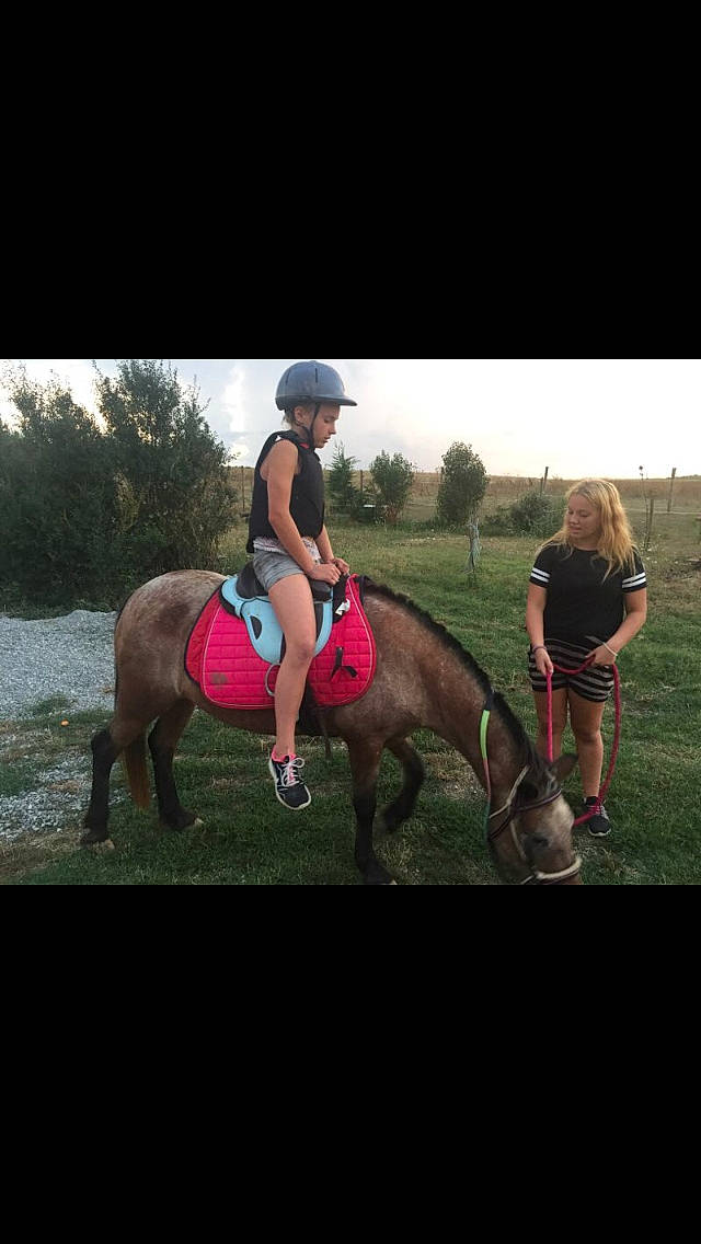 Coquine participe au concours pour gagner de l'argent avec cette photo : animal_sports, bridle, halter, horse, horse_supplies, horse_tack, horse_trainer, mammal, mane, mare, pack_animal, pony, recreation, rein, riding_instructor, saddle, shetland_pony, trail_riding, vertebrate, working_animal