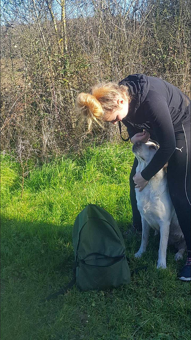 Neige a rejoint le concours — aidez-le/la à gagner de superbes lots ! canidae, carnivore, dog, dog_breed, field_trial, grass, hunting_dog, obedience_training, pointer, sporting_group, tail