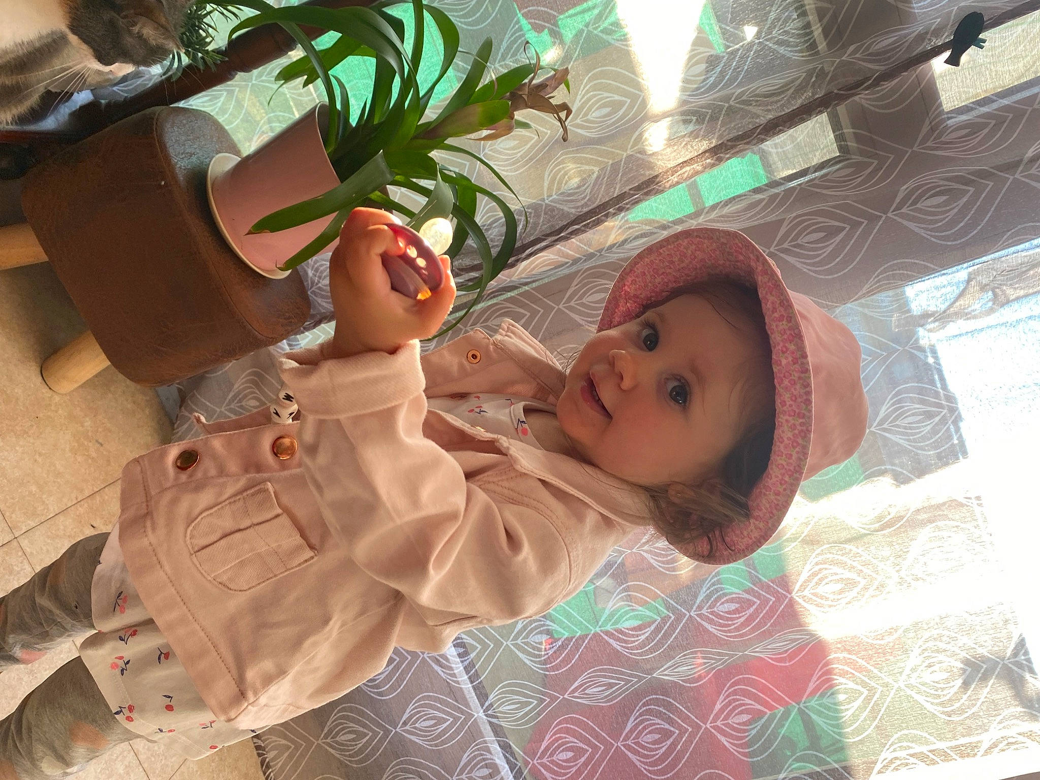 Mara participe au concours pour gagner de l'argent avec cette photo : child, comfort, eyewear, flooring, flowerpot, fun, happy, hat, headwear, houseplant, leisure, linens, mammal, musical_instrument, pattern, person, plant, room, smile, sun_hat